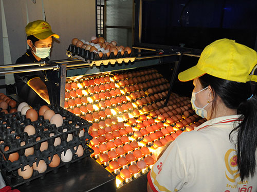 Trao vốn tận tay