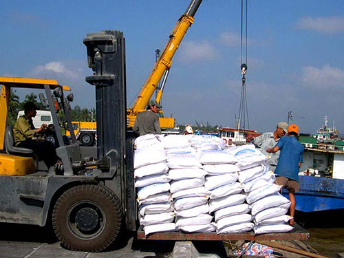 Gạo là mặt hàng Việt Nam xuất sang Nga Ảnh: NGỌC TRINH