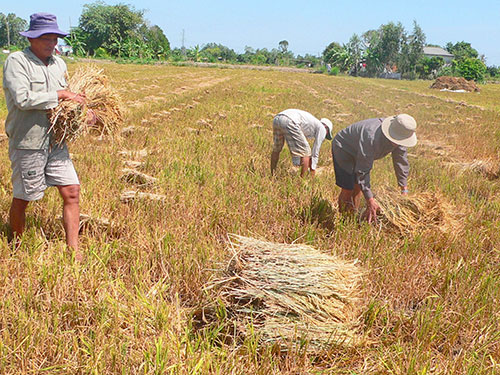 Nông dân không thể tự lo