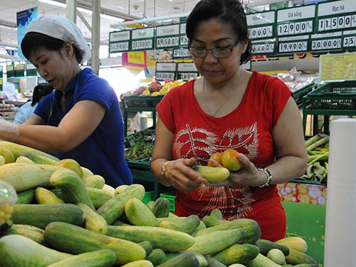 Dưa leo đẹp mặt, mát lòng