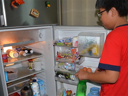 Vi khuẩn nổi tiếng nhất tá túc trong tủ lạnh là Campylobacter gây rối loạn hệ tiêu hóa Ảnh: TẤN THẠNH