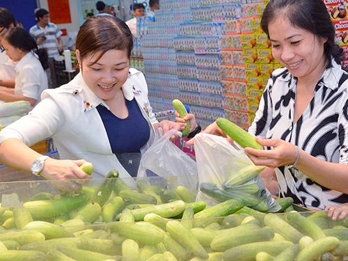 Dưa leo gi&uacute;p gan, thận v&agrave; ruột thanh lọc độc tố trong m&aacute;u Ảnh: TẤN THẠNH