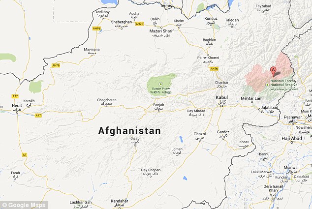 Hươu xạ hương được ph&aacute;t hiện tại Afghanistan