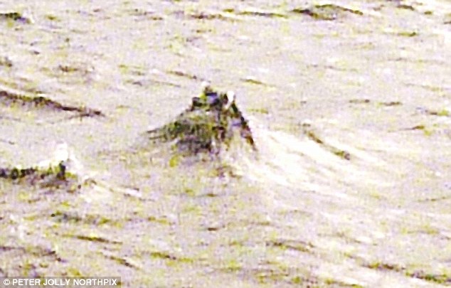 H&igrave;nh ảnh sinh vật b&iacute; ẩn giữa hồ Loch Ness do Jonathan Bright c&ocirc;ng bố tuần trước