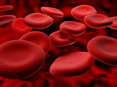 Vì sao hồng cầu thiếu màu đỏ?!