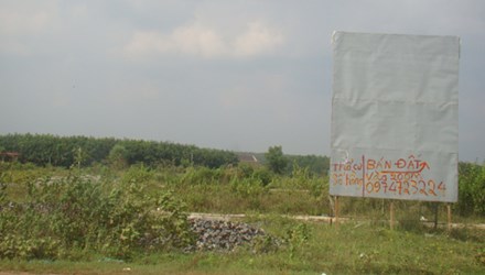 'Cò' đất 'đón gió' dự án sân bay Long Thành