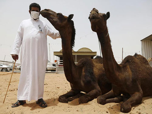 Virus MERS đe dọa thế giới