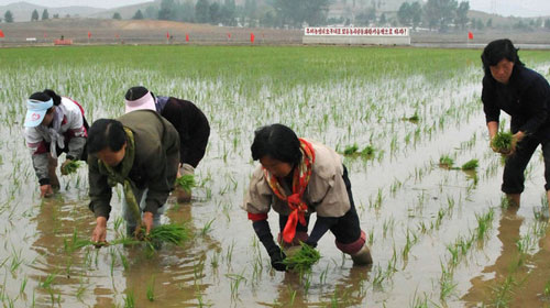 Triều Tiên giảm phụ thuộc kinh tế Trung Quốc