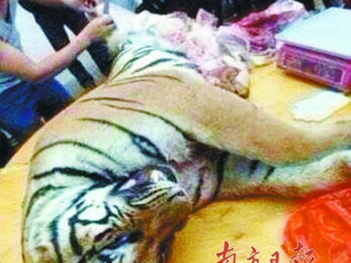 Giết hổ để mua vui