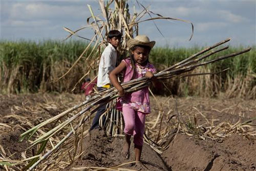 Lao động hợp pháp ở Bolivia: 10 tuổi là đủ