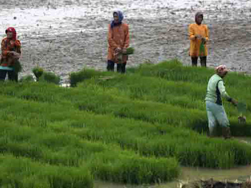 Châu Á chuẩn bị đối phó El Nino