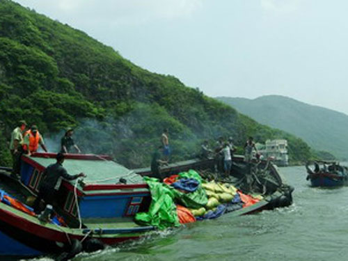 Ảnh chỉ mang tính minh họa. Ảnh: A-Tú