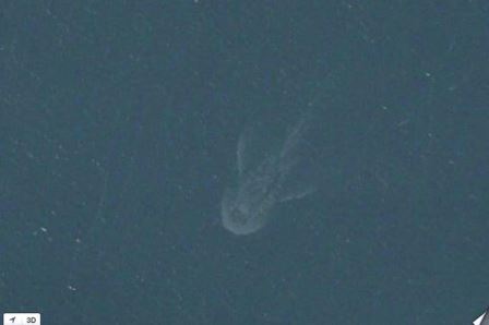 Quái vật hồ Loch Ness lại xuất hiện