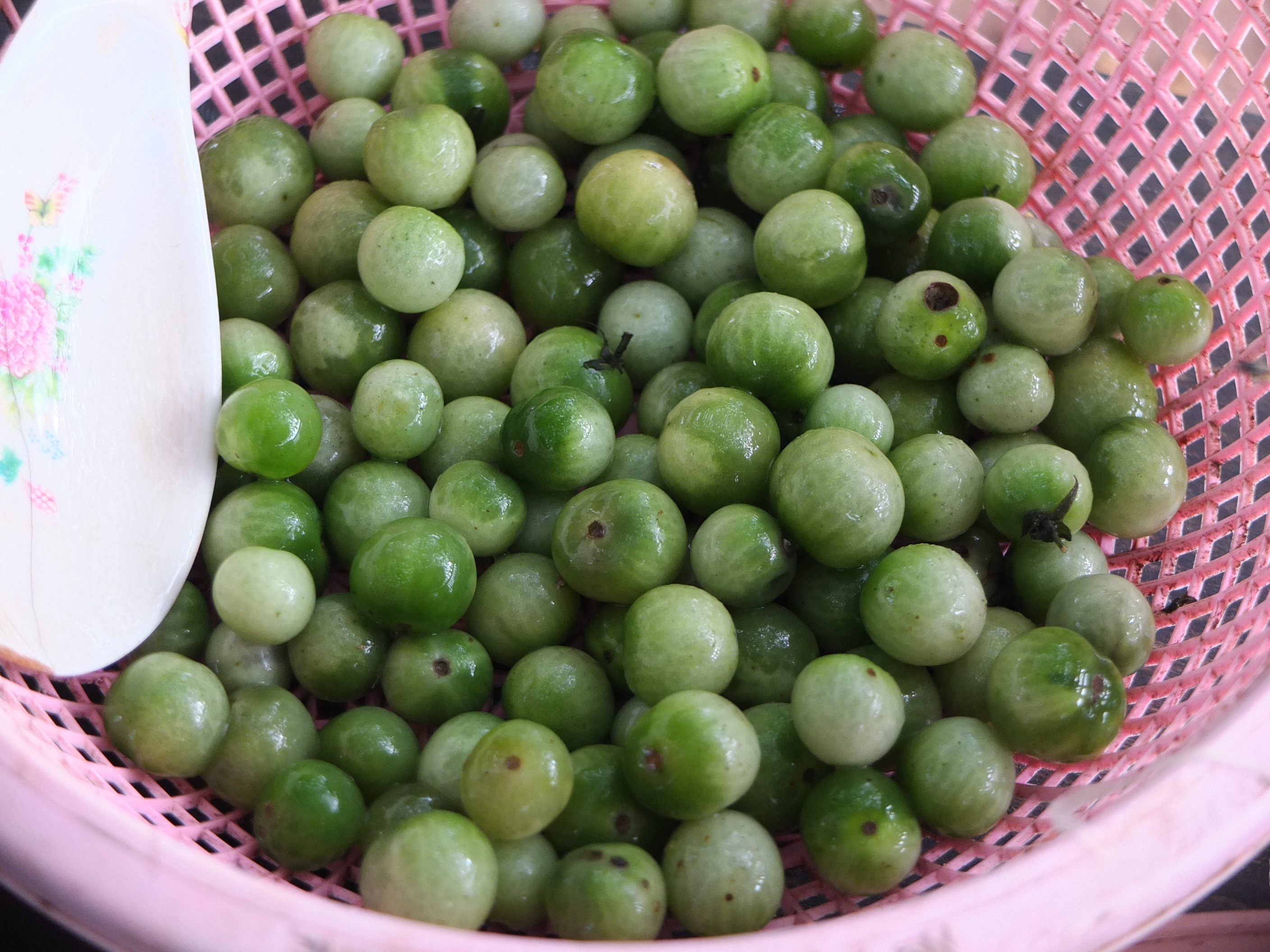 Một loại quả như c&agrave; cũng được gi&atilde; chung với gỏi