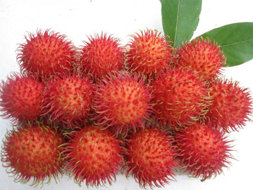 Lợi ích từ quả chôm chôm