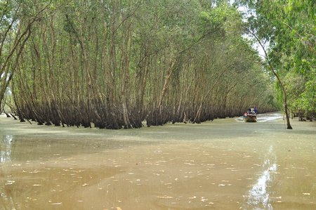 Ngao du mùa nước nổi đồng bằng