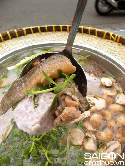 Cháo chạch râu - kẻ hừng hực, người tặc lưỡi!