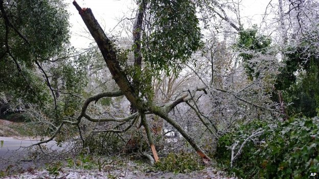 Cây đổ và dây điện bị đứt ở bang Georgia. Ảnh: AP