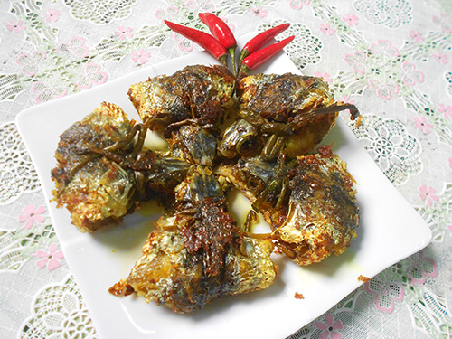 Nao nức mùa cá chuồn