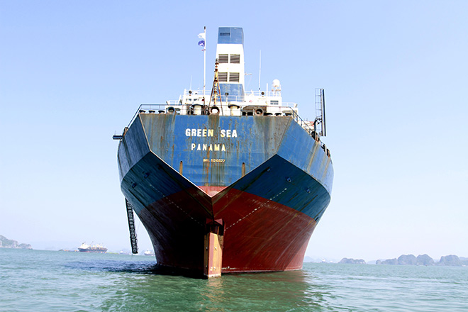 Green Sea l&agrave; t&agrave;u h&agrave;ng rời thuộc dạng si&ecirc;u trường, si&ecirc;u trọng c&oacute; tuổi đời tr&ecirc;n 30 năm (vẫn treo cờ Panama v&igrave; kh&ocirc;ng thể đang kiểm tại Việt Nam do qu&aacute; ni&ecirc;n hạn) v&agrave; đang gần mục n&aacute;t theo thời gian.