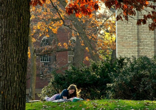 woman-reading-outside-studying-1230-4176