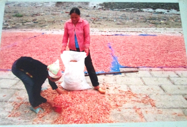 Nhiều bức ảnh chụp cảnh lao động của người n&ocirc;ng d&acirc;n