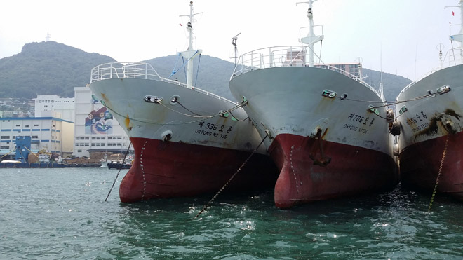 Các tàu do Công ty Đức Khải mua là tàu cũ, đã sử dụng khoảng hơn 10 năm. Nhưng công ty cho biết do là loại tàu hiện đại nên niên hạn sử dụng vẫn còn được từ 30 - 40 năm nữa.