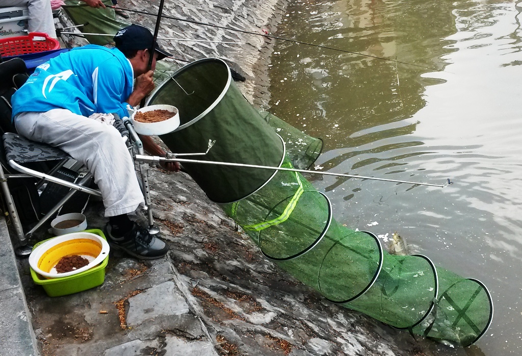 cá cắn câu