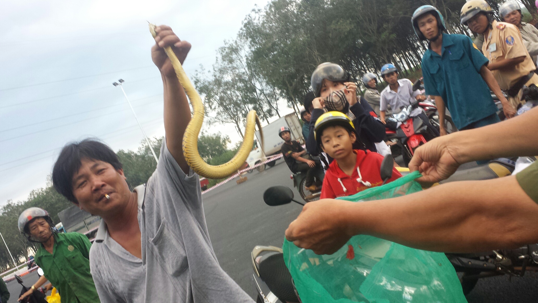 Người d&acirc;n cho hay đ&atilde; bắt lại hơn 1 trăm con rắn trong đ&oacute; c&oacute; rắn nước