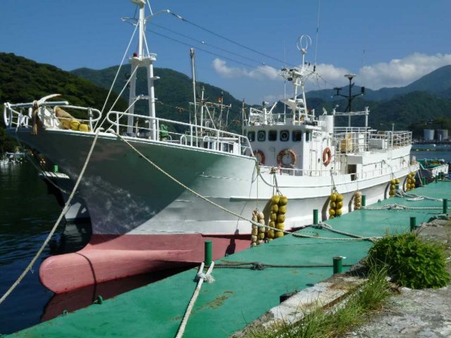 Trang thiết bị, công cụ, ngư cụ được mua thêm cho các tàu đánh bắt từ 2 - 4 tỉ đồng/chiếc.
