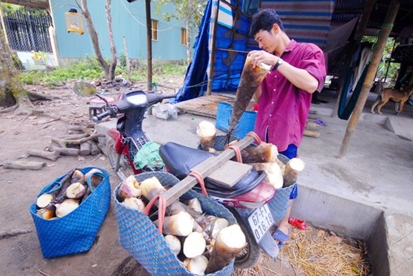 &Ocirc;ng L&ecirc; Văn Đủ, ở ấp Vồ Đầu, x&atilde; An Hảo, huyện Tịnh Bi&ecirc;n c&oacute; 1,8 ha đất rừng tr&ecirc;n N&uacute;i Cấm.