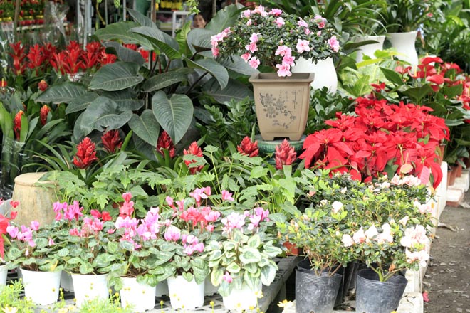 Do số lượng người mua tăng cao n&ecirc;n c&aacute;c cửa h&agrave;ng li&ecirc;n tục nhập h&agrave;ng về