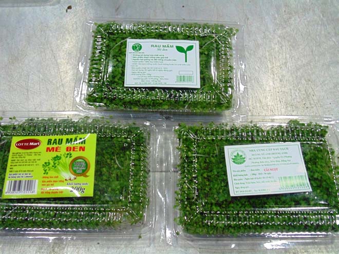 Rau mầm Ho&agrave;ng Anh được đ&oacute;ng g&oacute;i, b&aacute;n ở c&aacute;c si&ecirc;u thị lớn