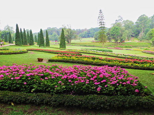 Pyin Oo Lwin nổi tiếng với vườn quốc gia Kandawgyi.