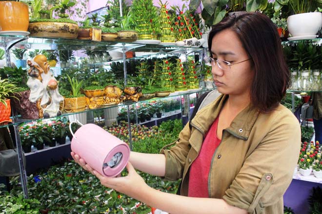 Kh&aacute;ch h&agrave;ng c&oacute;  thể tự mua chậu với gi&aacute; 120.000 đồng về trồng.