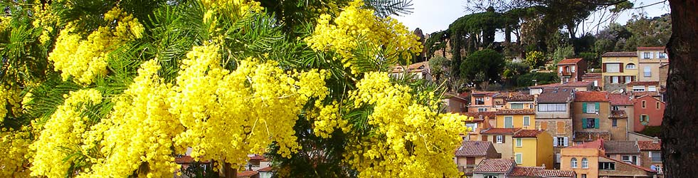 &nbsp;Thị trấn Bormes Les Mimosa