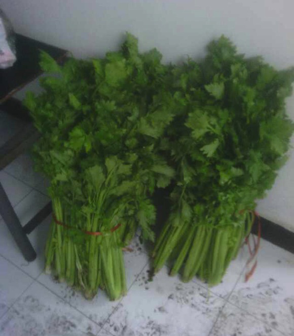 Hai b&oacute; cần t&acirc;y