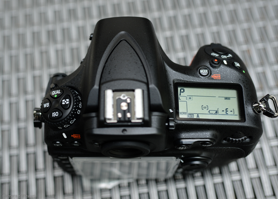 TMH_0498.JPG