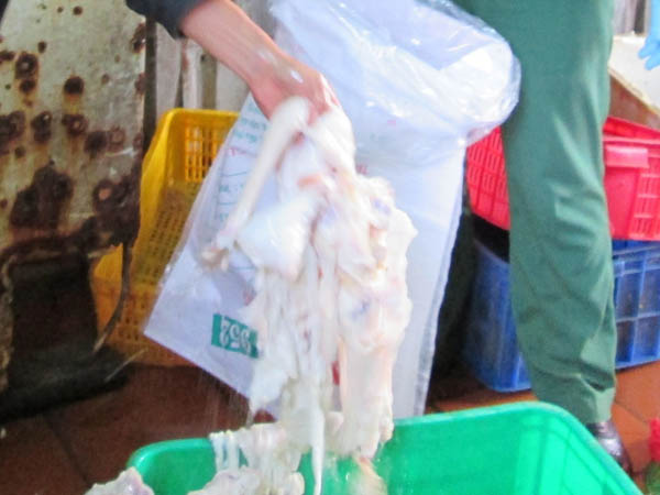 Gân trâu bò sau sơ chế trắng bất thường