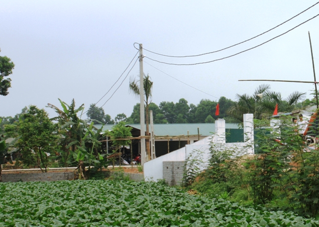 Trang trại nu&ocirc;i heo của C&ocirc;ng ty TNHH PNT