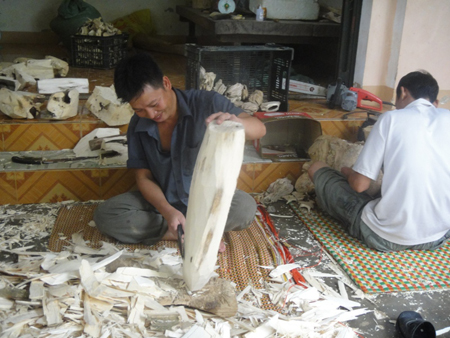 Gia đ&igrave;nh anh Thọ c&oacute; nguồn thu lớn từ c&acirc;y gi&oacute; trầm v&agrave; sản phẩm gi&oacute; cảnh