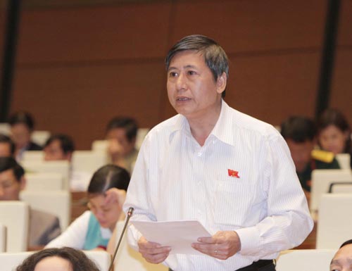 Đại bi&ecirc;̉u Tr&acirc;̀n Thanh Hải (TP HCM) phát bi&ecirc;̉u ý ki&ecirc;́n tại phi&ecirc;n thảo lu&acirc;̣n Ảnh: TTXVN