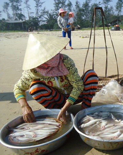 Bán cá tại bãi biển.