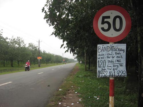 Người dân treo giấy bán đất trải dài theo đường Bưng Môn, xã Long An, huyện Long Thành