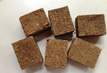 Thần khúc trị bệnh