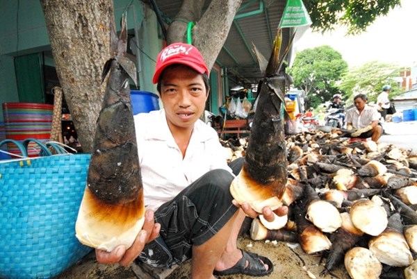 Tre mạnh t&ocirc;ng rất dễ trồng.&nbsp;