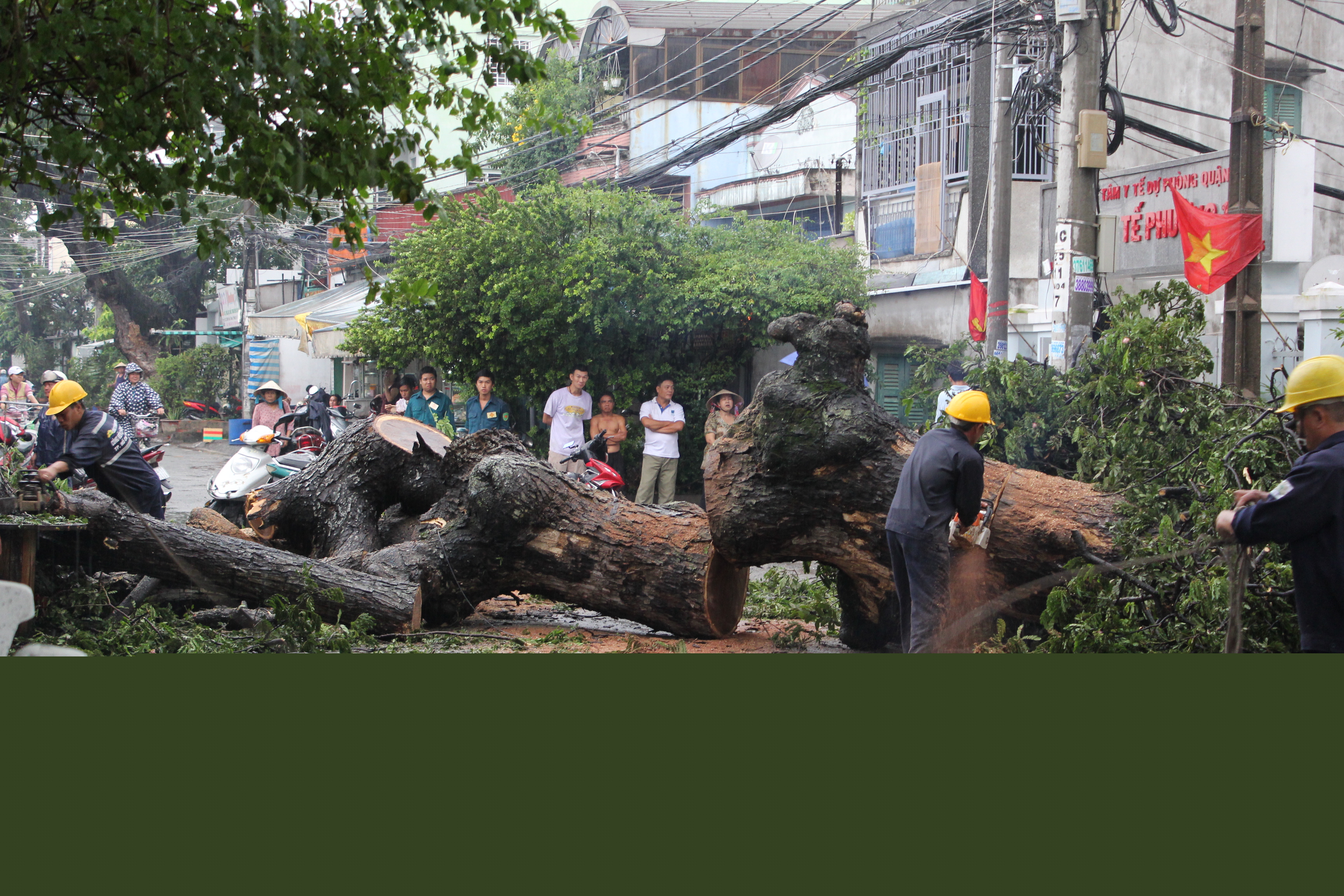 Nh&acirc;n vi&ecirc;n c&acirc;y xanh dọn dẹp hiện trường