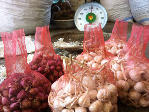Vua tỏi Lý Sơn và ước mơ ‘siêu phẩm’ 5 triệu/kg