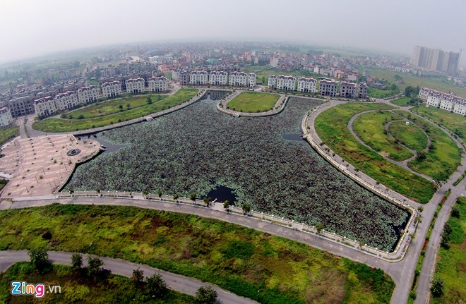Liền với hồ nước l&agrave; khu thể thao, giải tr&iacute;, ăn uống, thương mại, h&agrave;nh ch&iacute;nh&hellip;. Ở khu vực n&agrave;y bố tr&iacute; c&aacute;c biệt thự đơn lập, nh&agrave; vườn, nh&agrave; liền kề, nh&agrave; ở, l&ocirc; phố, tận dụng tối đa cảnh quan mặt hồ v&agrave; c&aacute;c c&ocirc;ng tr&igrave;nh c&ocirc;ng cộng. Trong ảnh, hồ sen đen ng&ograve;m v&igrave; kh&ocirc;ng được chăm s&oacute;c.