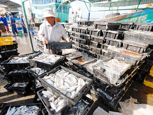 Không có cửa nhập tàu quá cũ